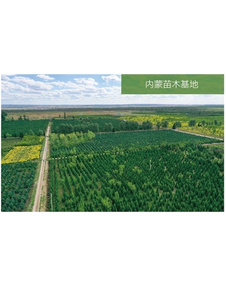 標題：苗木基地
瀏覽次數：2193
發(fā)表時(shí)間：2020-10-17