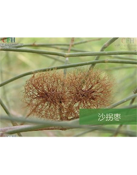 標題：名貴樹(shù)種
瀏覽次數：1640
發(fā)表時(shí)間：2020-10-17