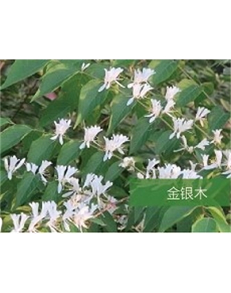 標題：?jiǎn)坦嗄?瀏覽次數：1544
發(fā)表時(shí)間：2020-10-17