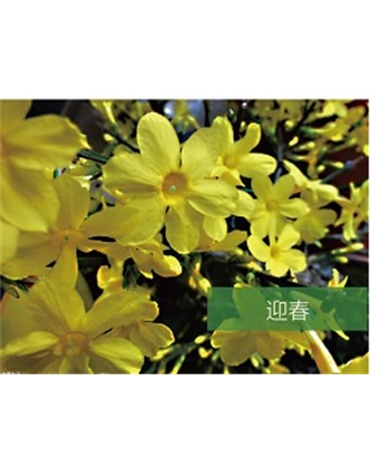 標題：?jiǎn)坦嗄?瀏覽次數：1467
發(fā)表時(shí)間：2020-10-17