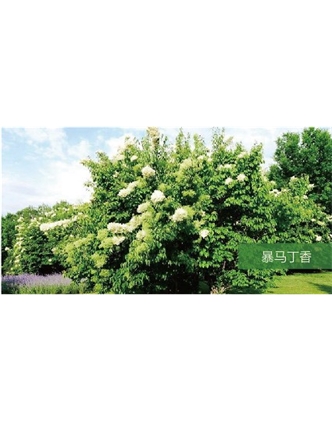 標題：?jiǎn)坦嗄?瀏覽次數：1700
發(fā)表時(shí)間：2020-10-17