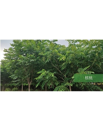 標題：?jiǎn)坦嗄?瀏覽次數：1527
發(fā)表時(shí)間：2020-10-17