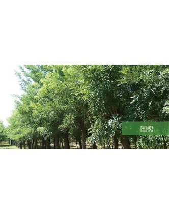 標題：?jiǎn)坦嗄?瀏覽次數：1696
發(fā)表時(shí)間：2020-10-17