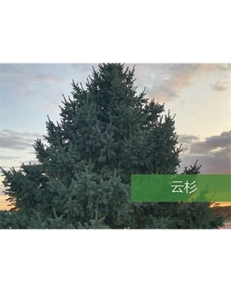 標題：?jiǎn)坦嗄?瀏覽次數：2179
發(fā)表時(shí)間：2020-10-17