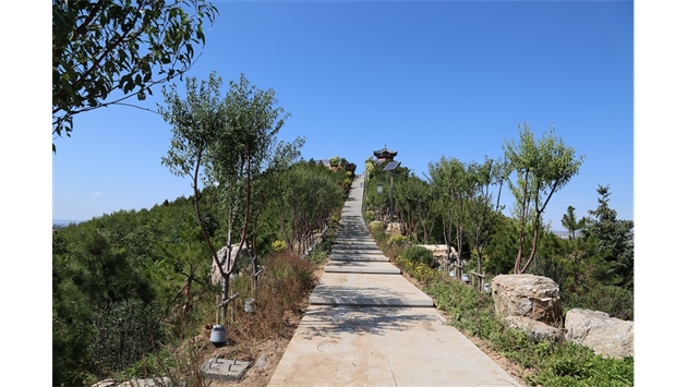 標題：張家口太子山山體修復
瀏覽次數：18182
發(fā)表時(shí)間：2020-11-12
